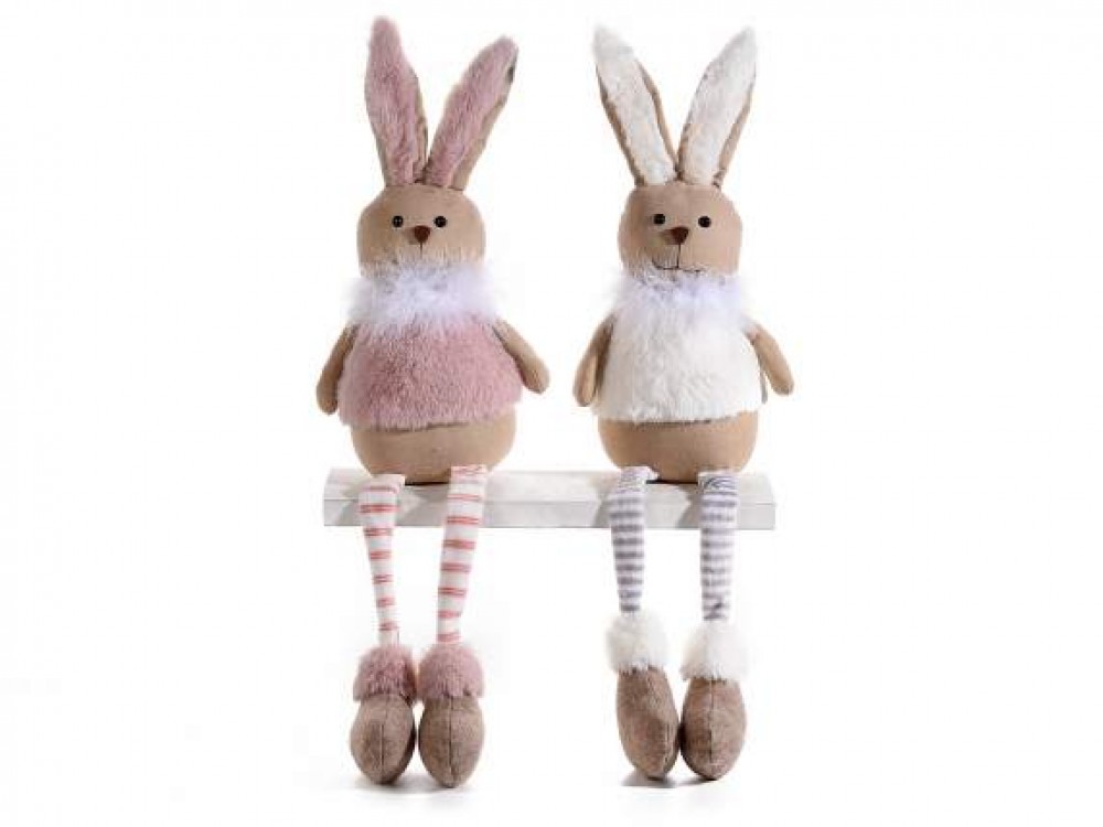 Photo de Lapin aux longues pattes