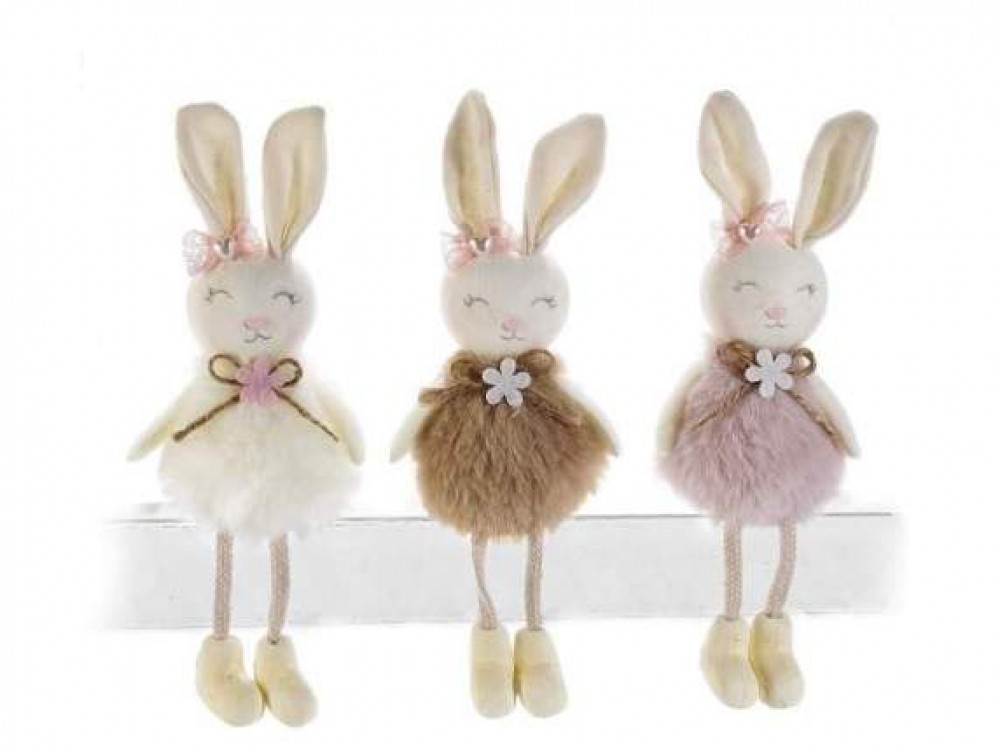 Photo de Lapin aux longues pattes