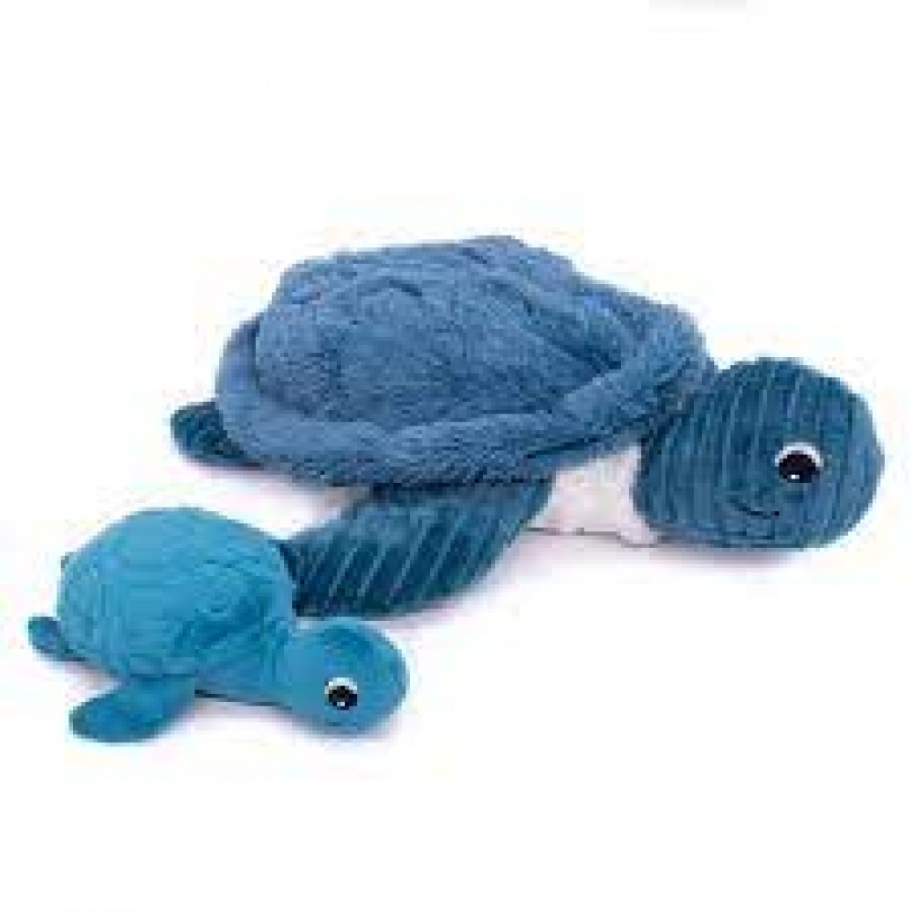 Photo de Sauvenou Maman tortue et