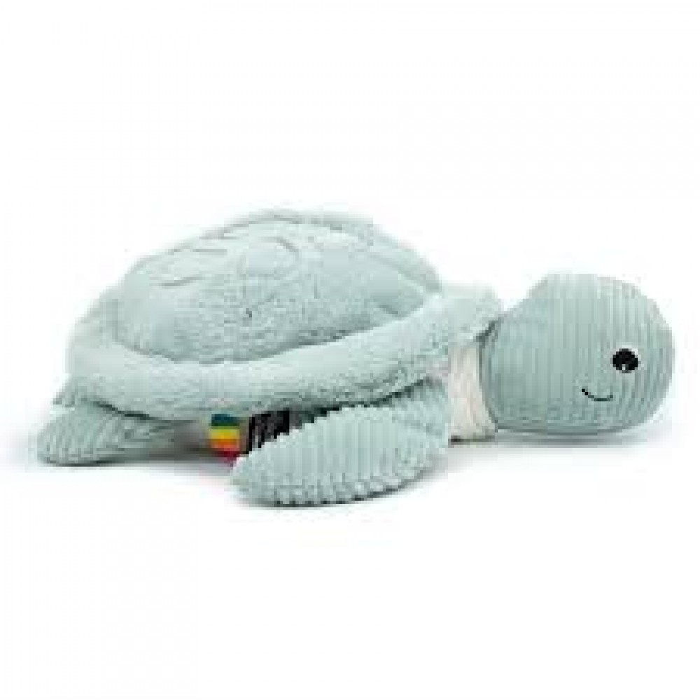 Photo de Sauvenou tortue géante mi