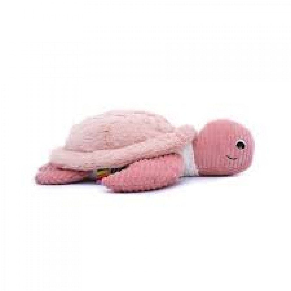 Photo de Sauvenou tortue géante ro