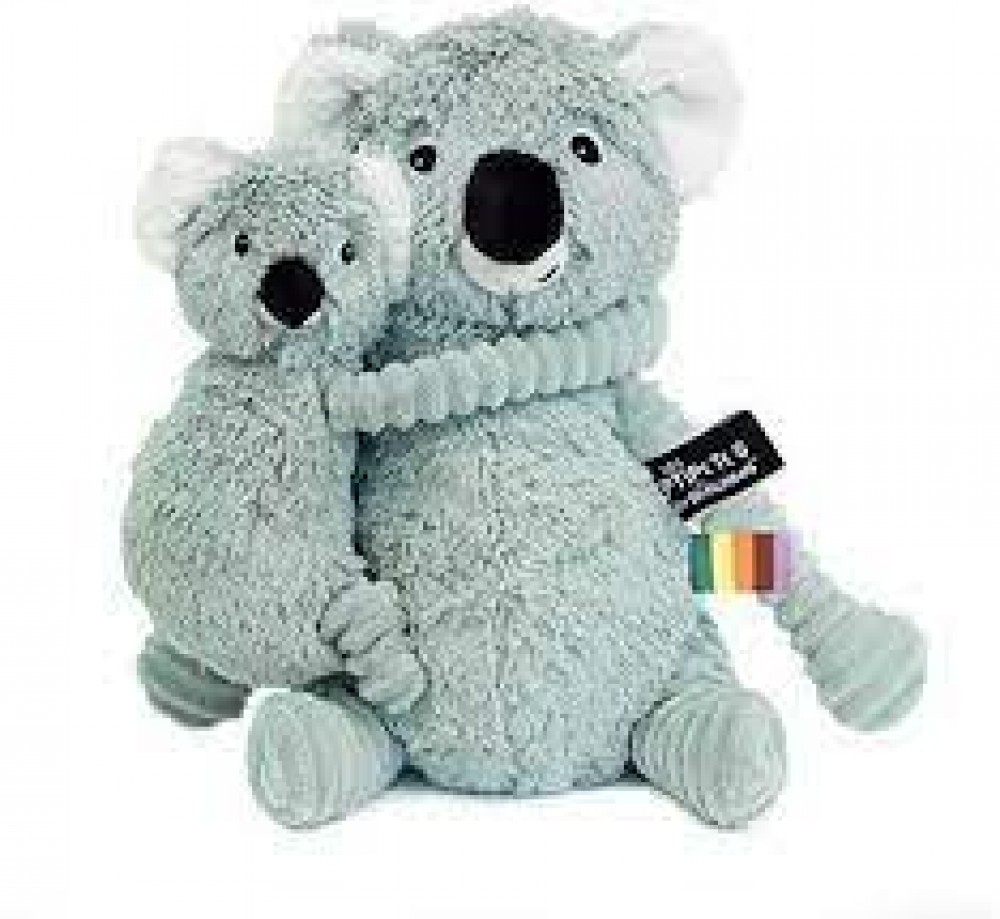 Photo de Trankilou le koala mint