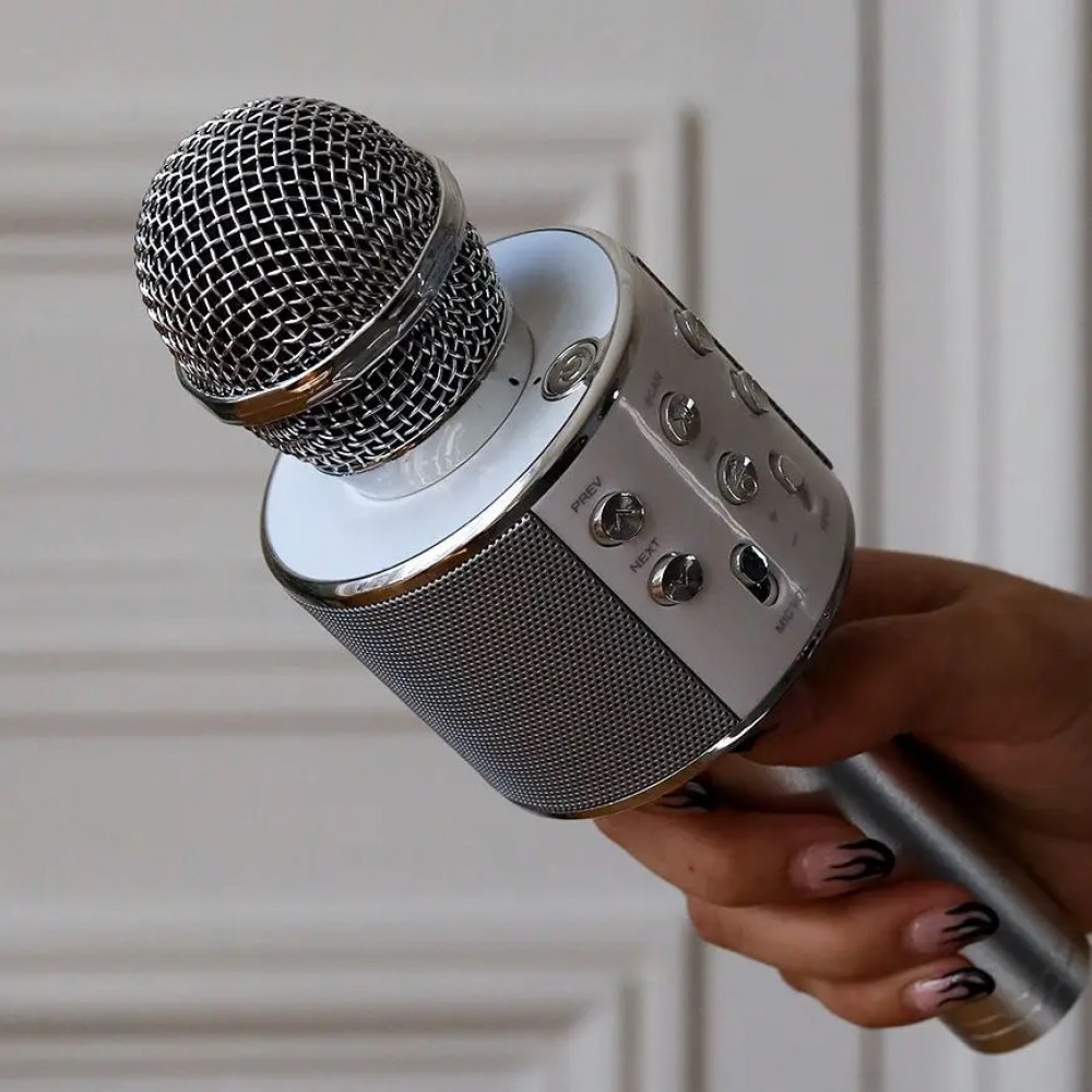 Photo de Enceinte micro Karaoké