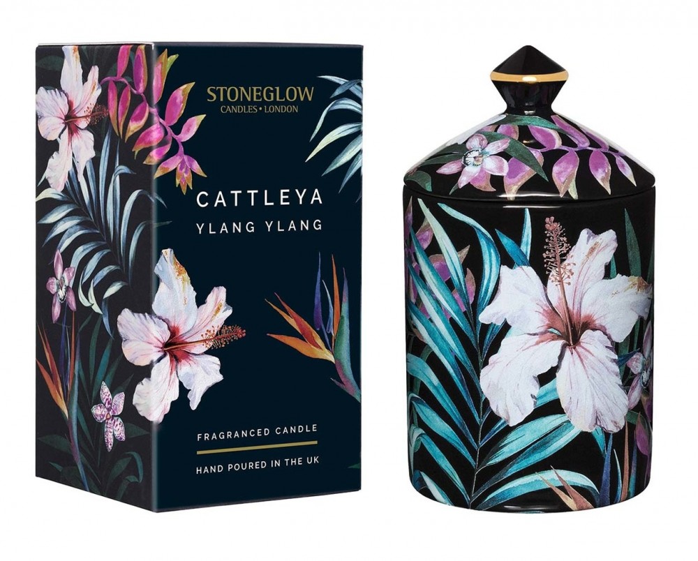 Photo de Urban Botanics Cattleya Y