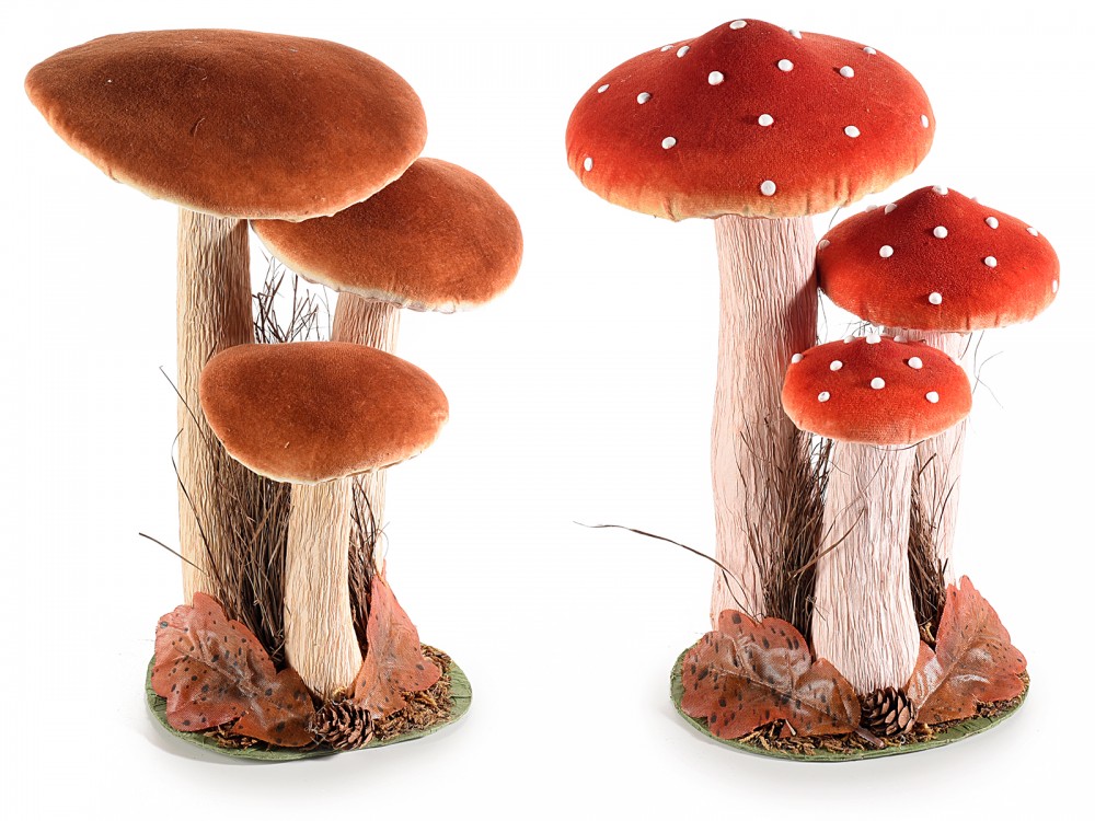 Photo de Trio de champignons recou