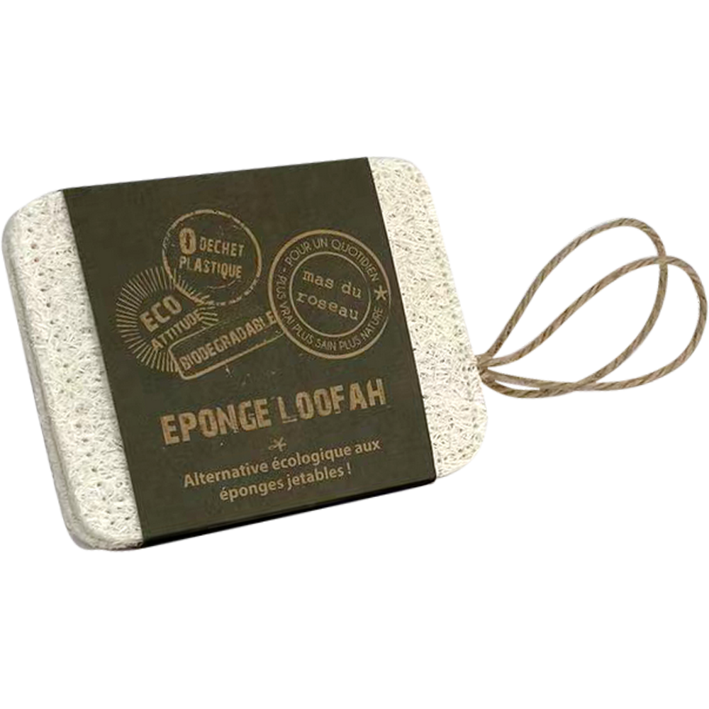 Photo de 13.1.25 e éponges loofah