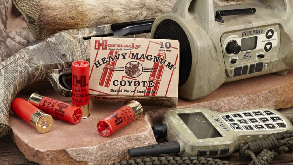 HORNADY Shotgun 12/70 BB 3'' Heavy Magnum, 10 cartouches