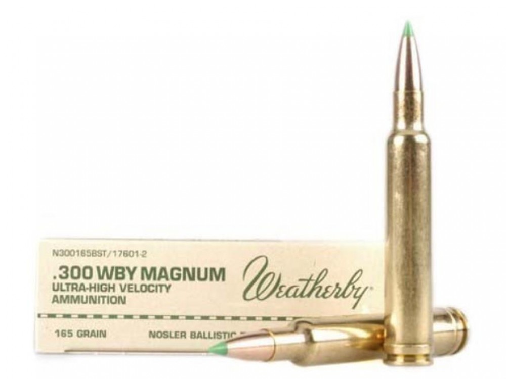 WEATHERBY, .300 WBY Magnum, 180 gr, 20 cartouches