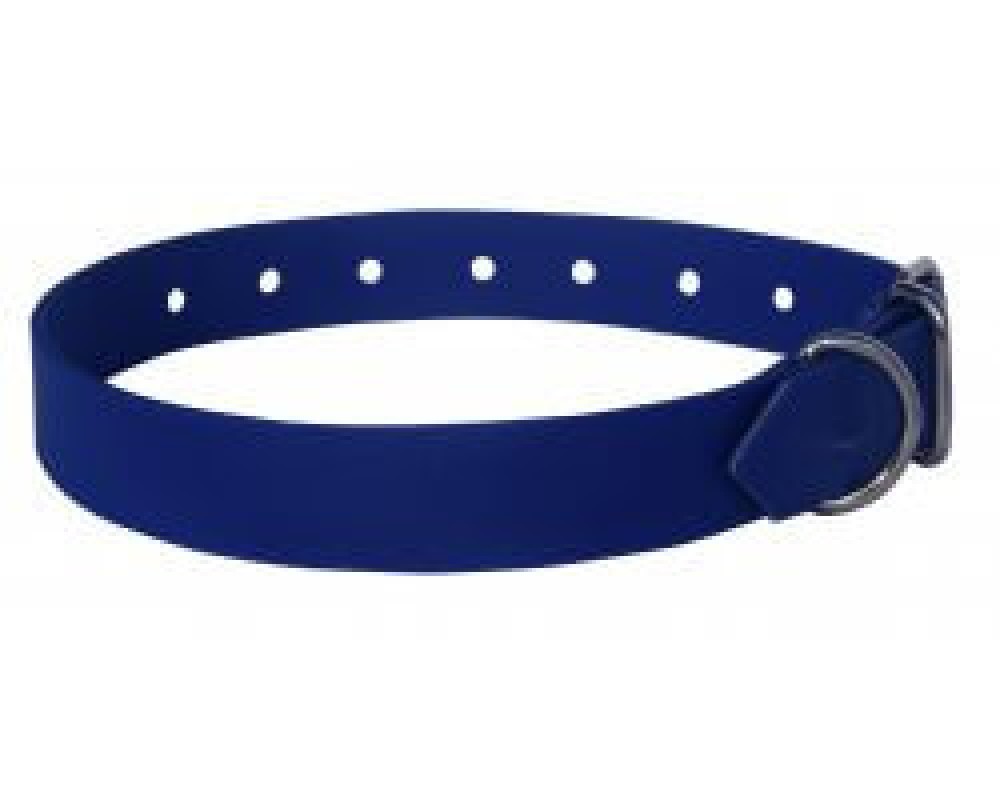 Photo de Collier pour chien longeu
