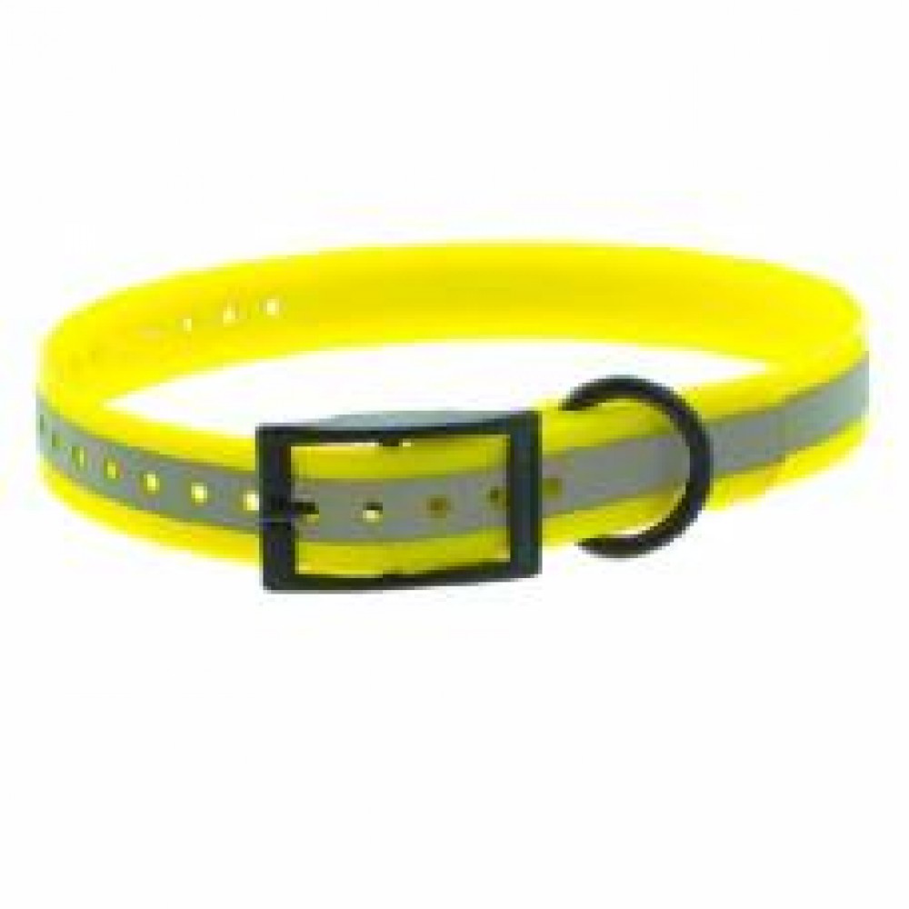 Photo de Collier pour chien longeu