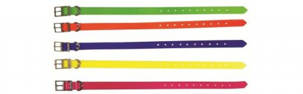 Photo de Collier pour chien longeu