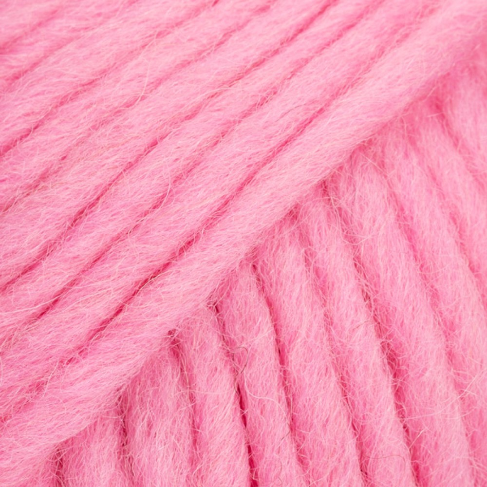 113 Rose pétale Snow