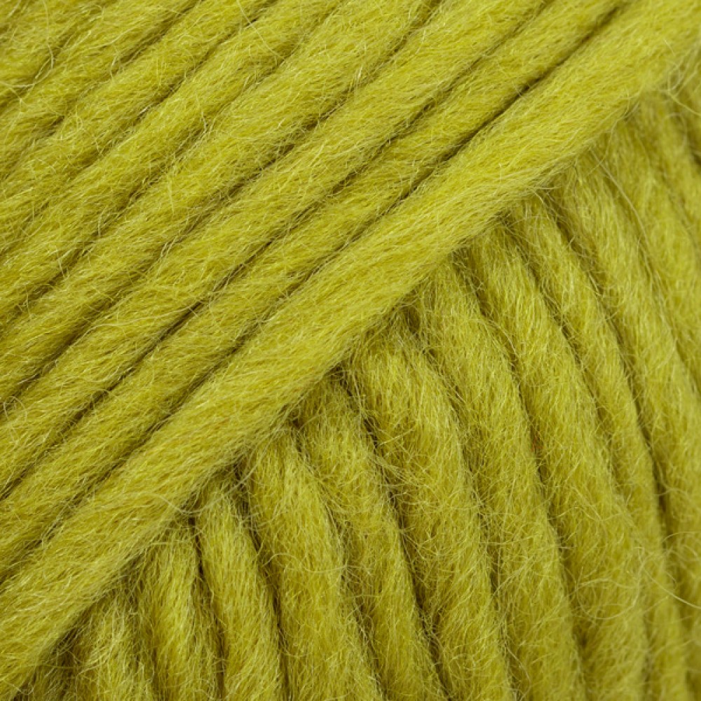 Photo de 115 Vert olive vif Snow
