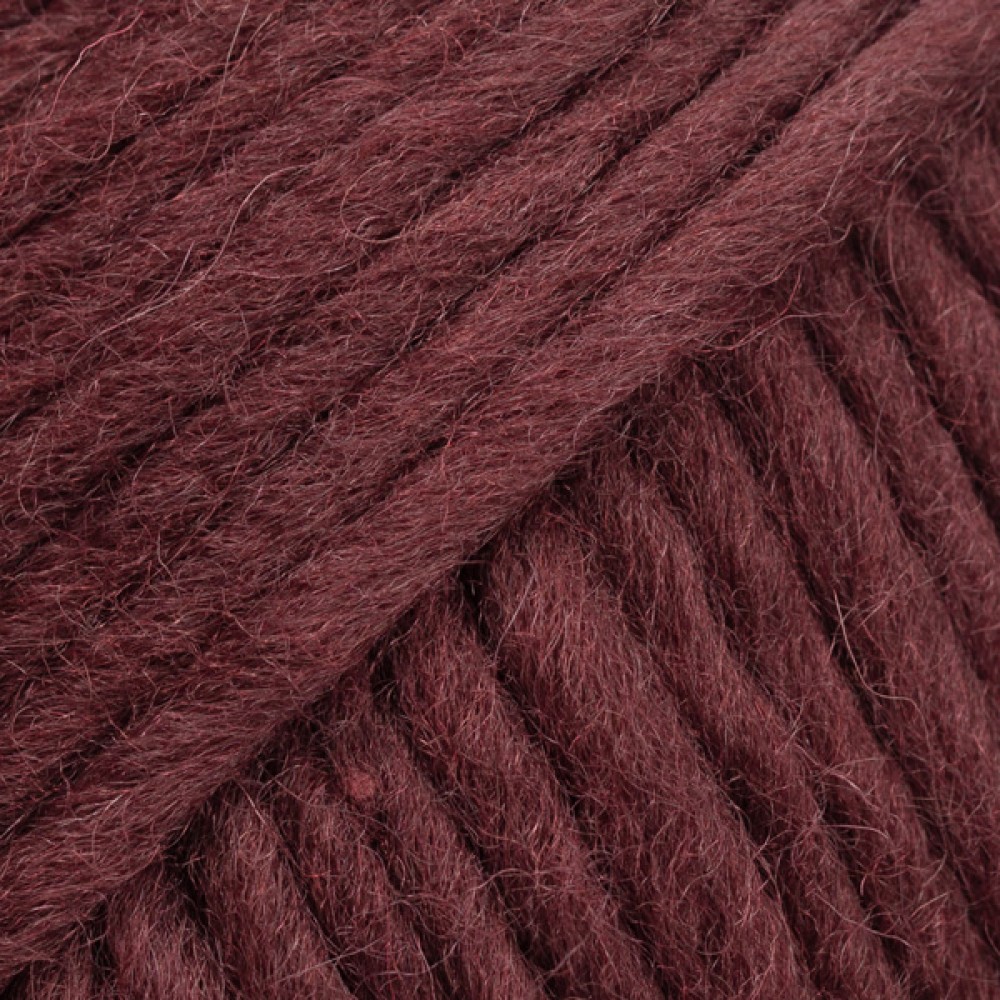 Photo de 119 Vin de prune Snow