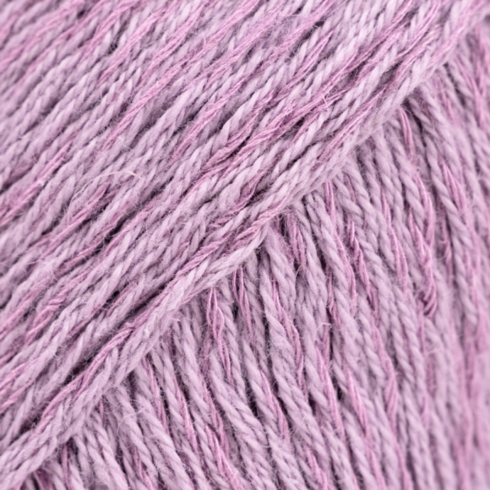 Photo de 34 Orchidée mauve