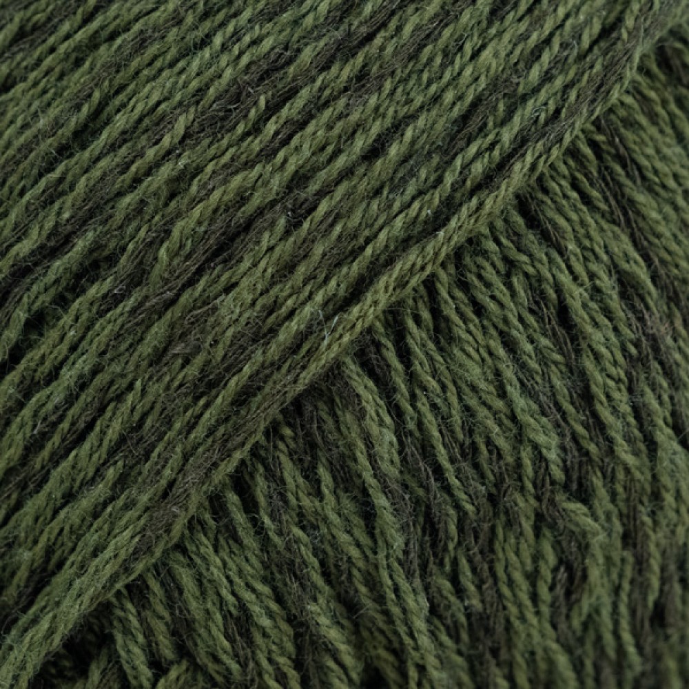 Photo de 35 Forêt sombre Belle