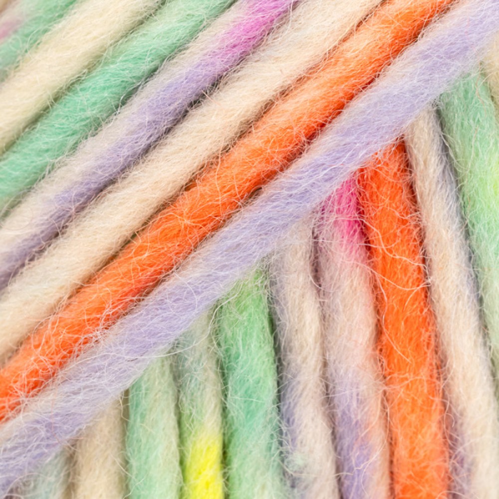 Photo de 140 Carnaval de couleur S