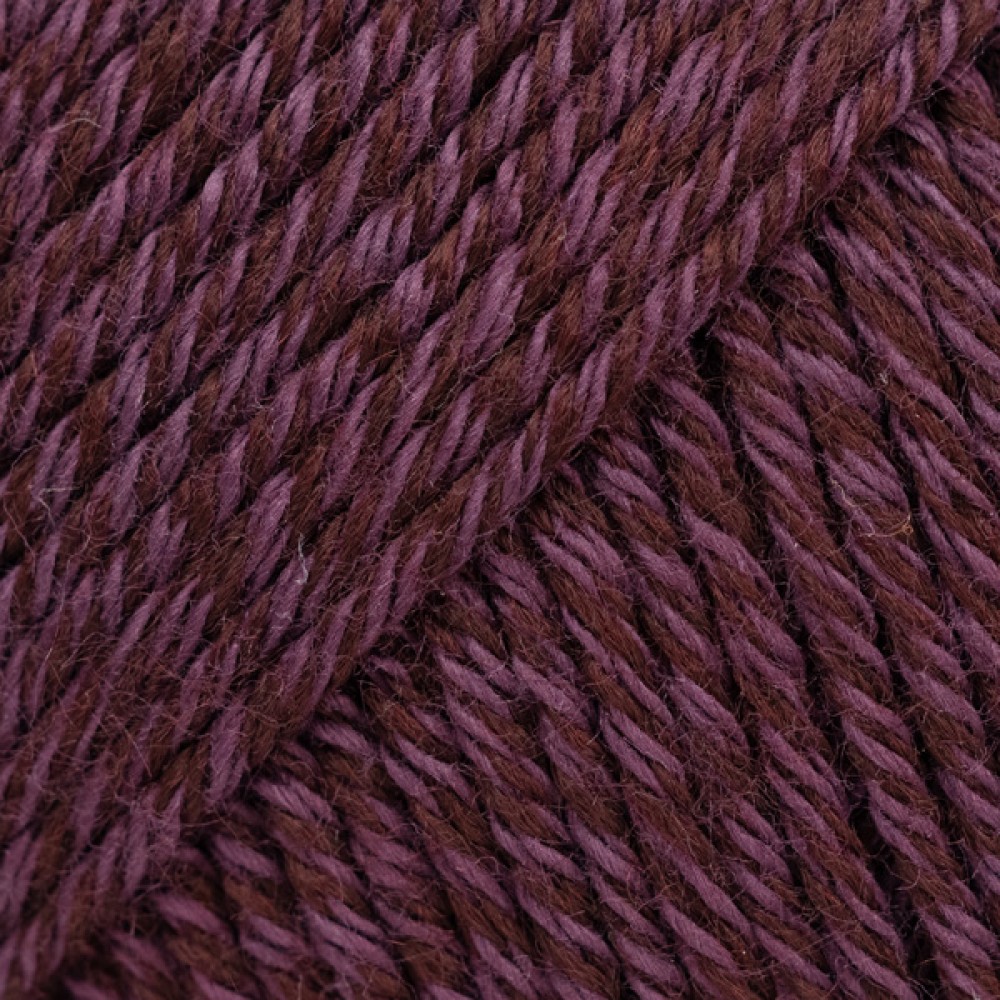 Photo de 41 Raisin noir Cotton mer