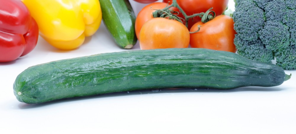 Photo de BIO COMCOMBRE