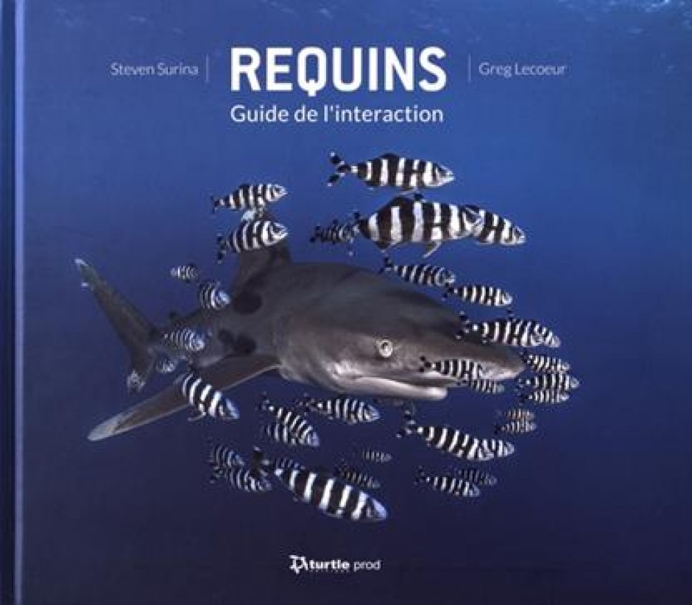 Photo de Requins, Guide de l'inter