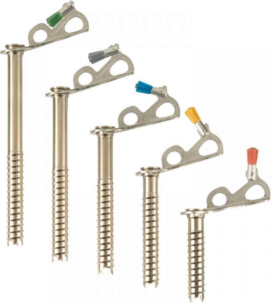 Photo de Express Ice Screws 13cm