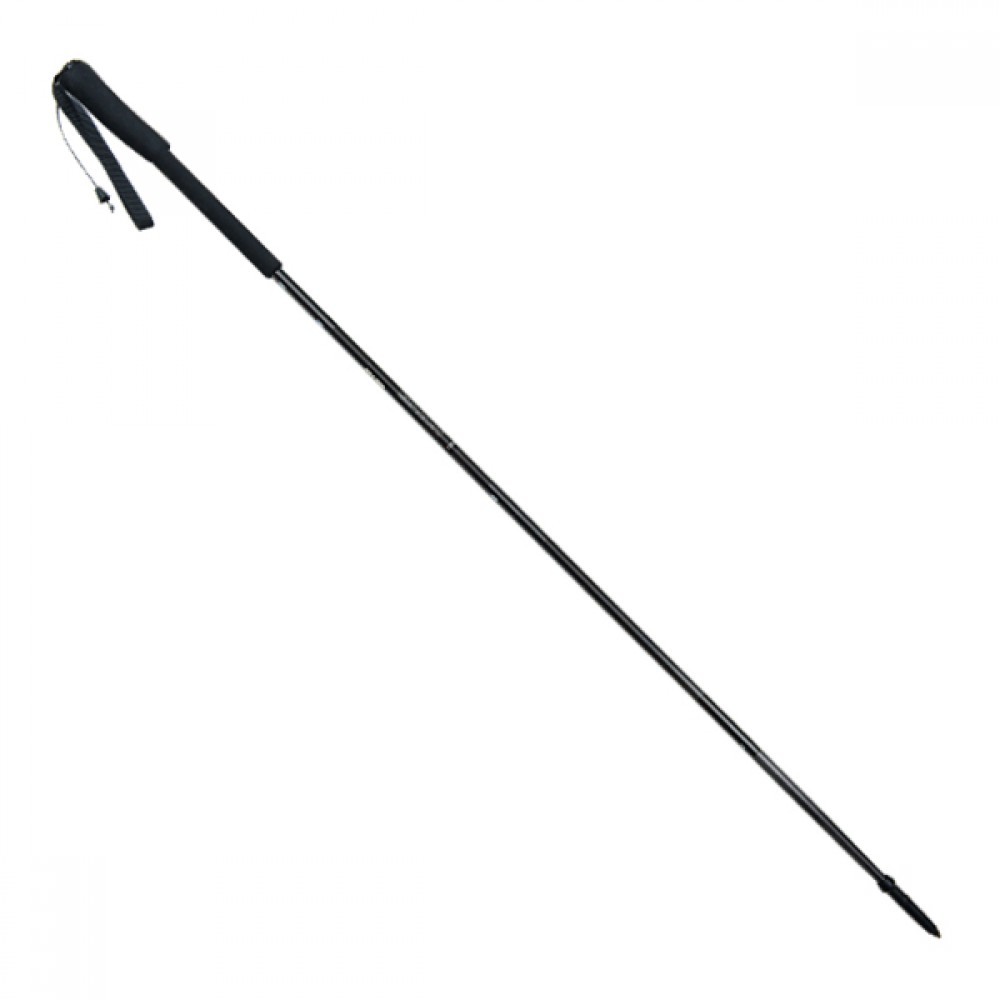 Mont Blanc Carbon 4