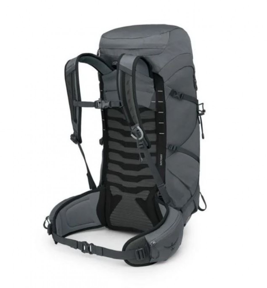 Talon 33