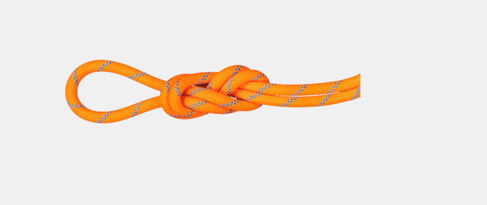 Photo de 8.7 Alpine Sender Dry Rop