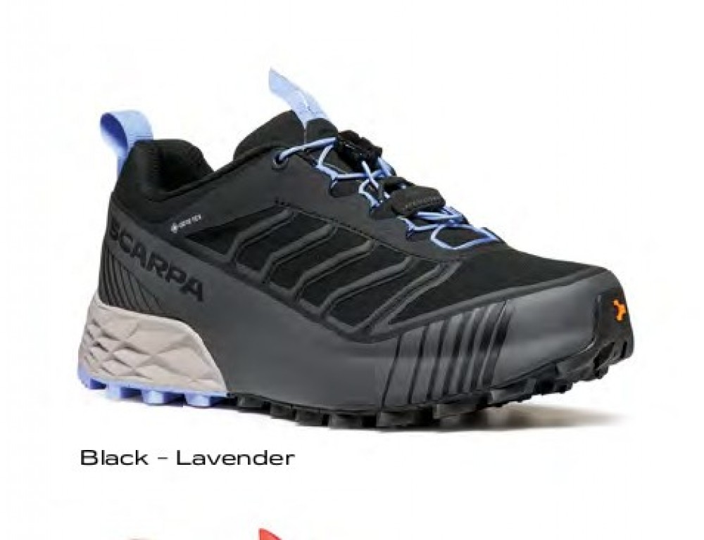 Photo de Ribelle Run 2 GTX Wm