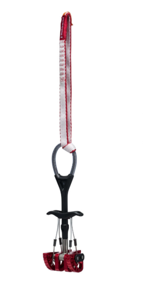 Photo de Camalot C4 Extendable #1
