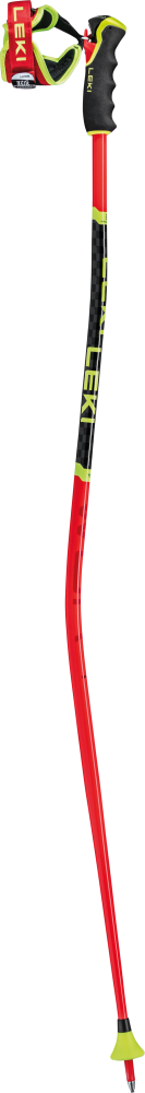 Photo de Leki - WCR TBS GS 3D